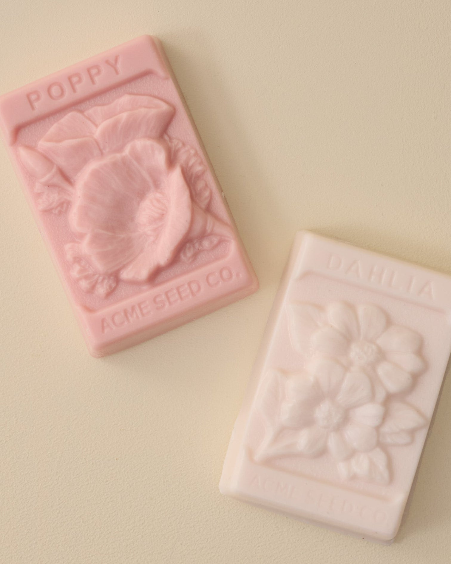 CGGARDENSOAPDUO_1
