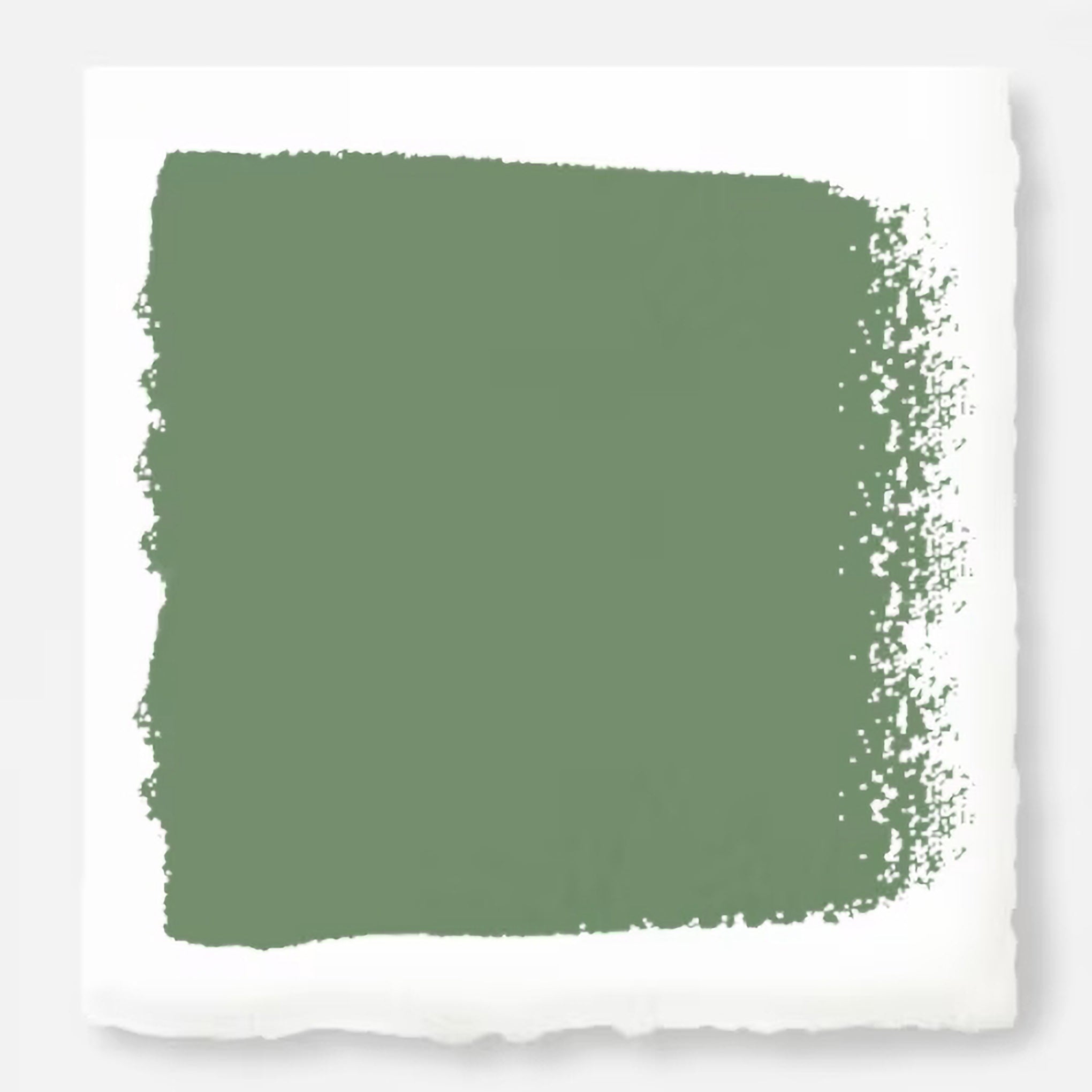 MAG024MAGNOLIAGREEN_d901b13f-e9b2-4fc5-8a70-ac75d753cfac